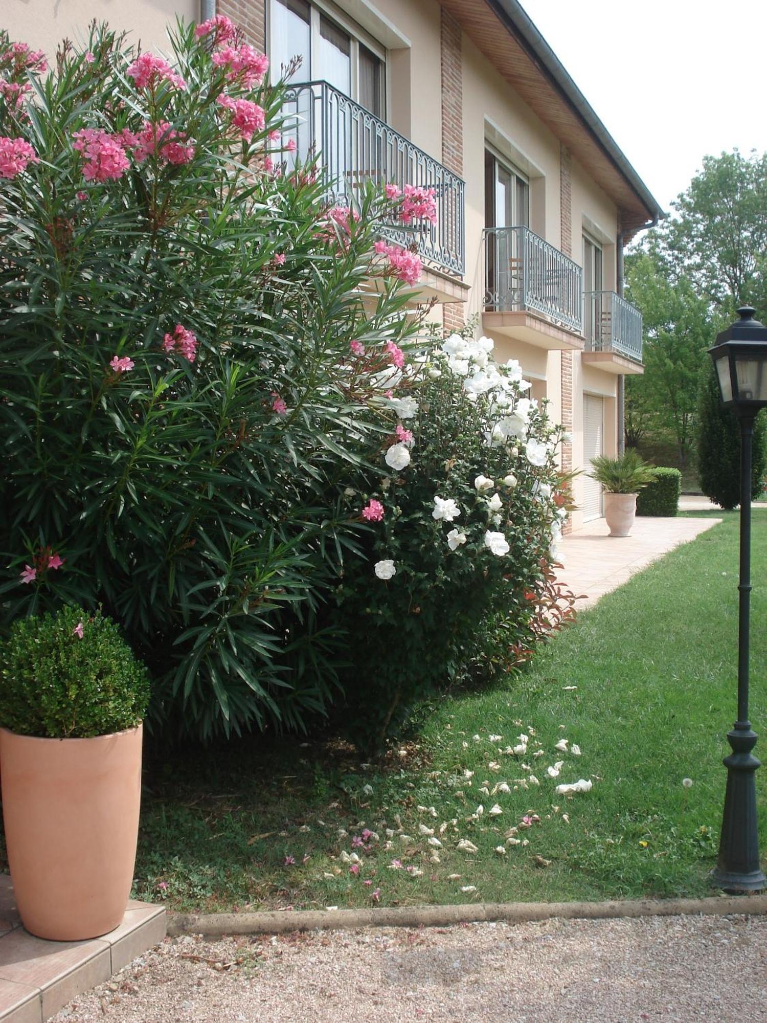 L'Oustal Du Lauragais Hotell Labastide-Beauvoir Exteriör bild